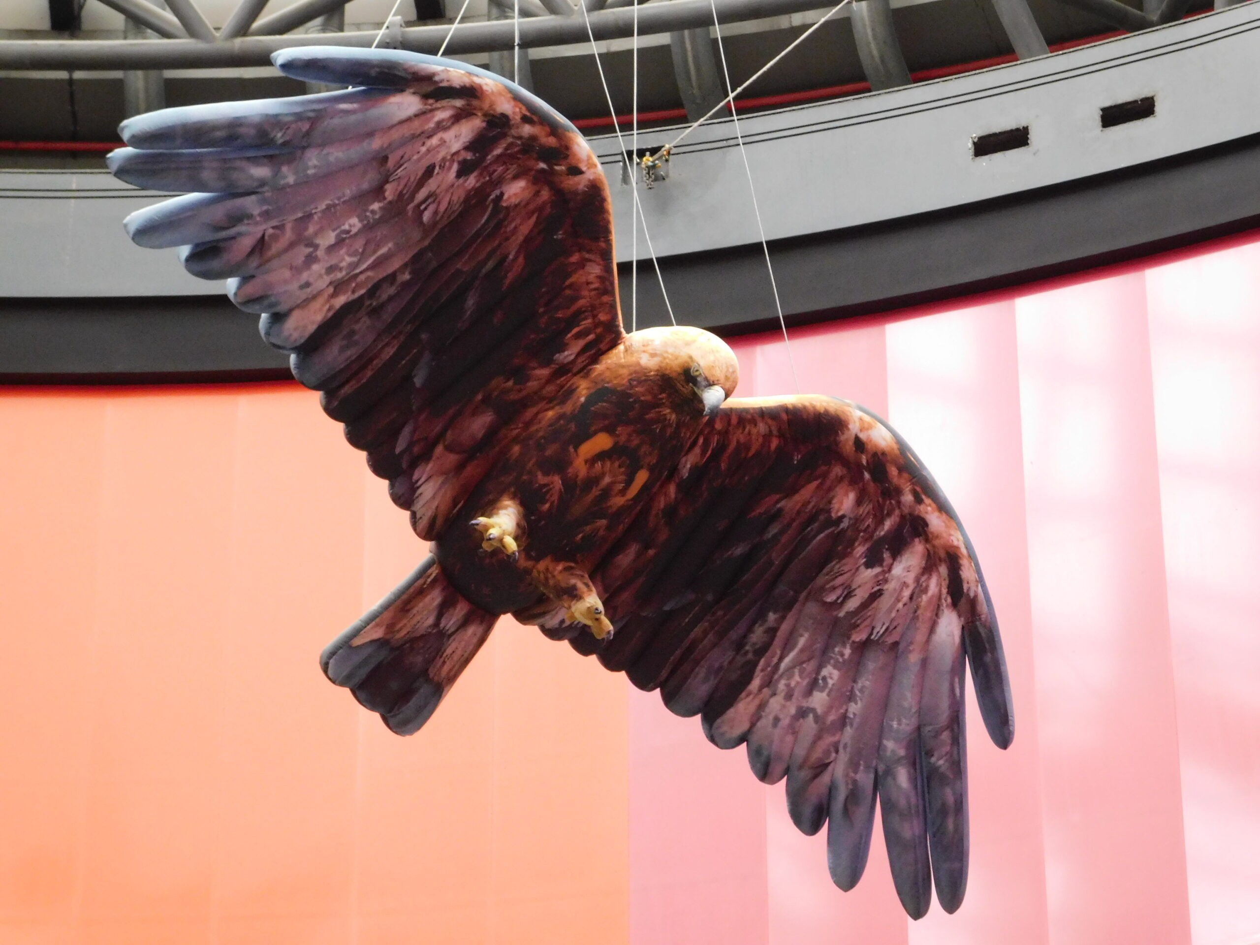 Planet of the Apes Eagle
