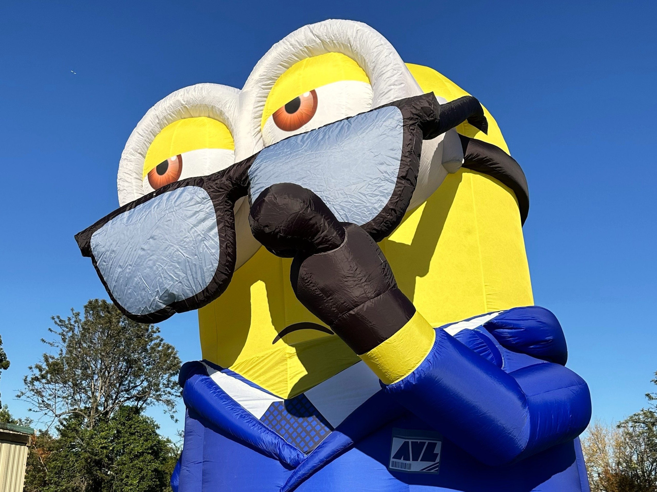 Minions